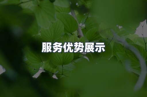 服务优势展示