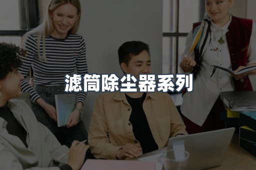滤筒除尘器系列